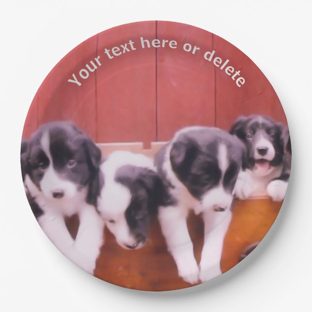 Border Collie Puppies Art Personalized Party    Paper Plate (Front)