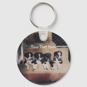 Border Collie Puppies Dog Keychain