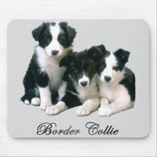 Border Collie Puppies Mouse Pad