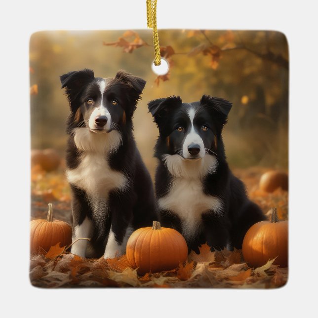 Border Collie Puppy Autumn Delight Pumpkin Ceramic Ornament (Front)