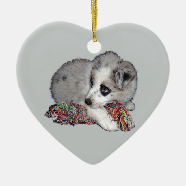 border collie puppy blue merle ceramic ornament (Front)