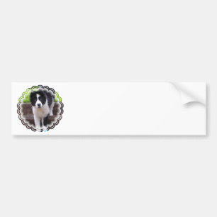 Border Collie Puppy Bumper Sticker