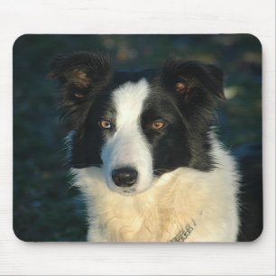 Border Collie Puppy Dog Love Mousepad