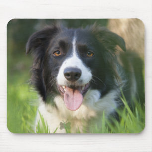 Border Collie Puppy Dog Mousepad