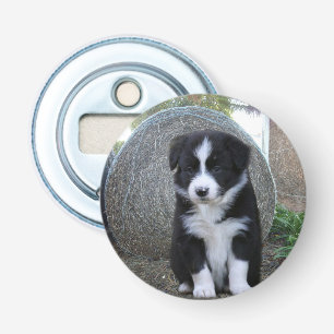 Border Collie Puppy Farm Life, Bottle Opener