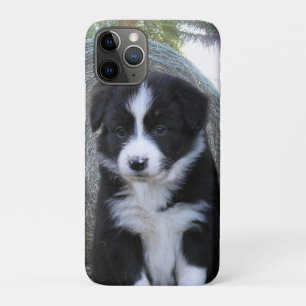 Border Collie Puppy Farm Life, iPhone 11 Pro Case