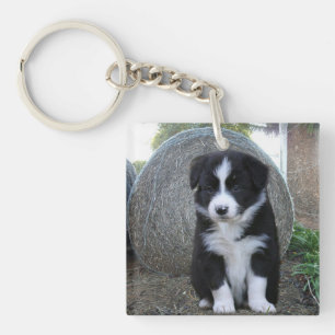 Border Collie Puppy Farm Life, Keychain