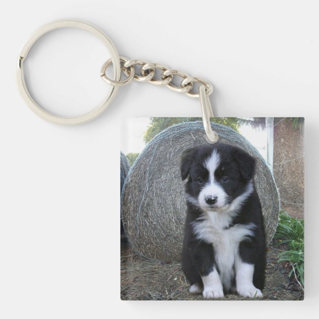 Border Collie Puppy Farm Life, Keychain (Front)