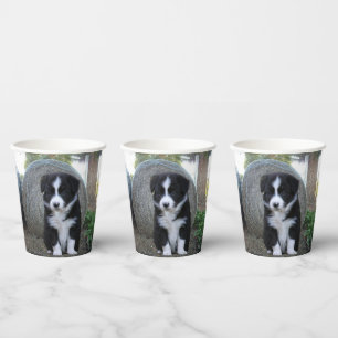 Border Collie Puppy Farm Life, Paper Cups