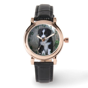 Border Collie Puppy Farm Life, Watch