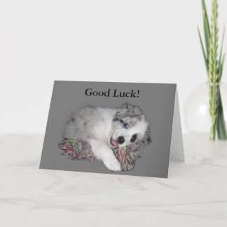 Border Collie puppy good luck card