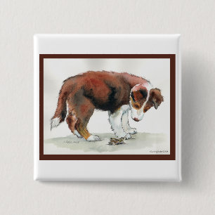 Border Collie Puppy & Grasshopper 2 Inch Square Button