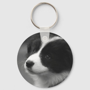 Border Collie Puppy Keychain