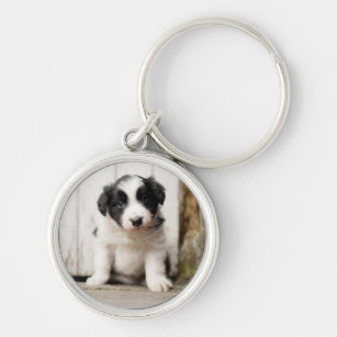Border Collie Puppy Keychain