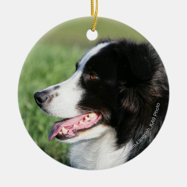 Border Collie Puppy Laying Down Ceramic Ornament (Front)