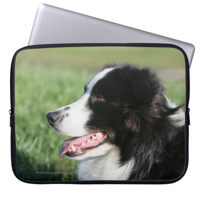 Border Collie Puppy Laying Down Laptop Sleeve (Front)