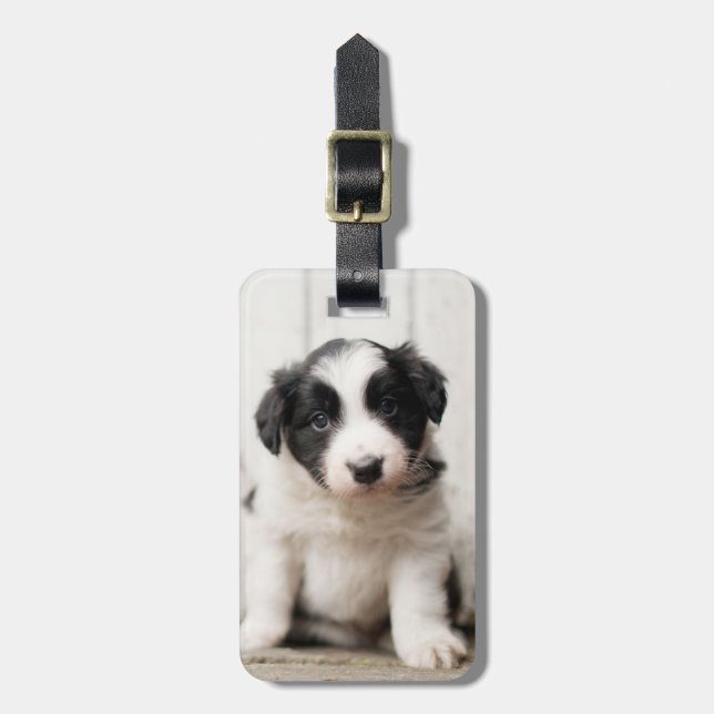 Border Collie Puppy Luggage Tag (Front Vertical)