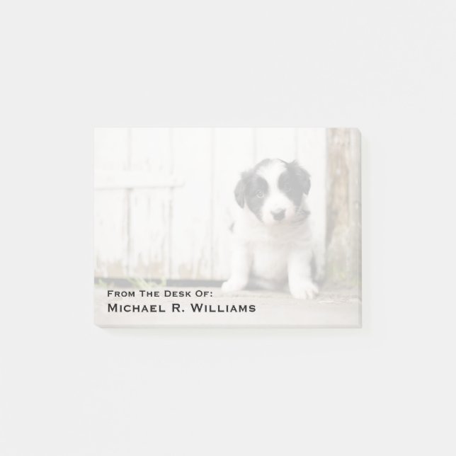 Border Collie Puppy Post-it Notes (Front)