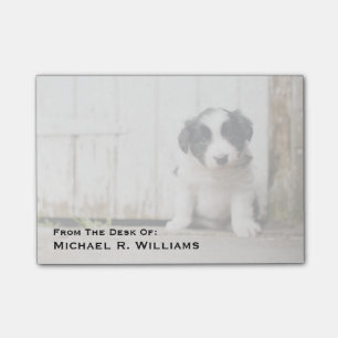 Border Collie Puppy Post-it Notes