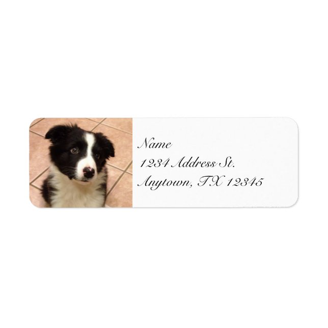 Border Collie Puppy return address labels (Front)