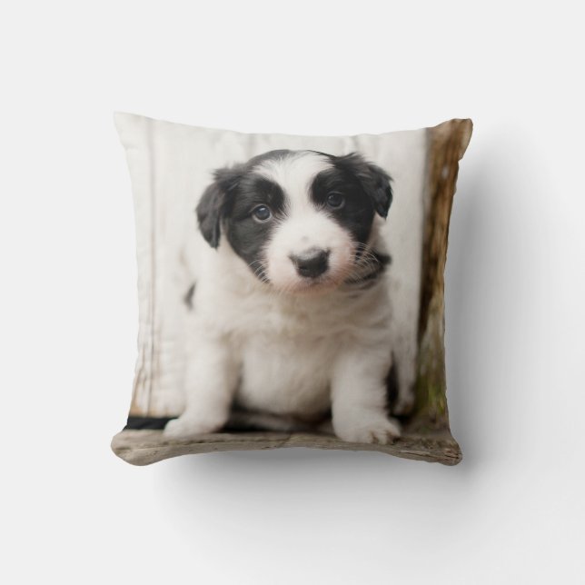 Border Collie Puppy Throw Pillow (Front)