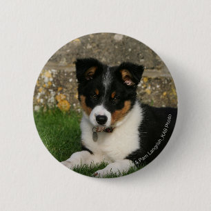 Border Collie Puppy with Leaf in Mouth 2 Inch Round Button