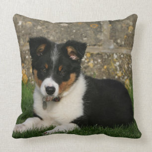 Border Collie Puppy with Leaf in Mouth Throw Pillow