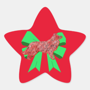 Border Collie Red Dog & Green Bow Christmas Star Sticker
