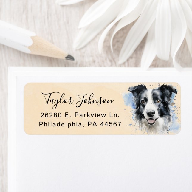 Border Collie Return Address Label (Insitu)