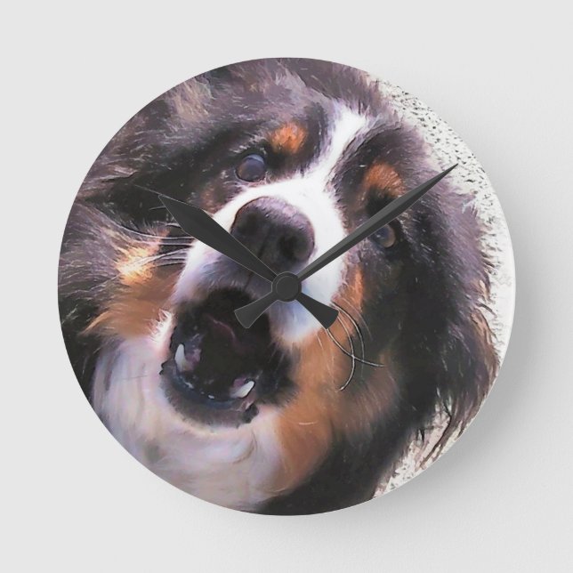 BORDER COLLIE ROUND CLOCK (Front)