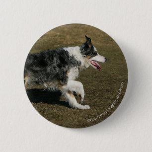Border Collie Running 1 2 Inch Round Button