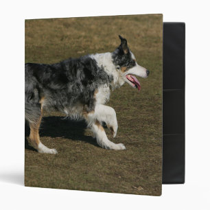 Border Collie Running 1 Binder