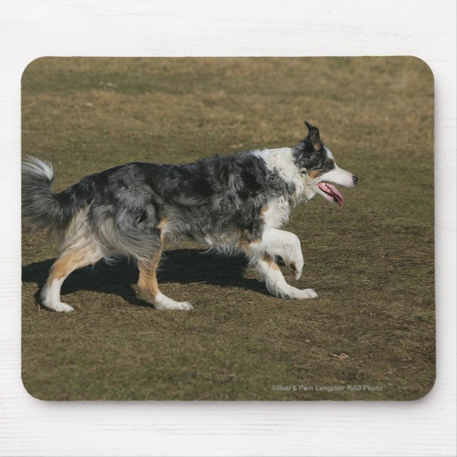 Border Collie Running 1 Mouse Pad (Front)