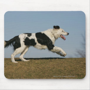 Border Collie Running 2 Mouse Pad
