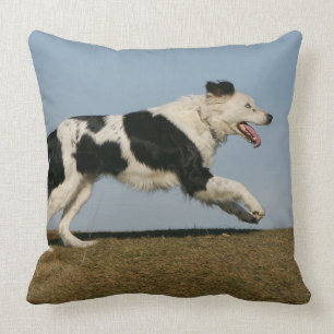 Border Collie Running 2 Throw Pillow