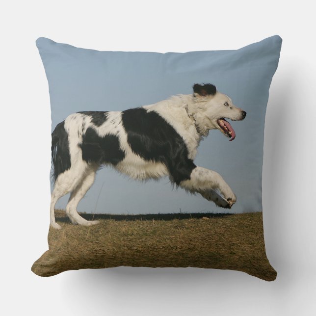 Border Collie Running 2 Throw Pillow (Front)