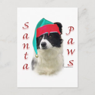 Border Collie Santa Paws Holiday Postcard