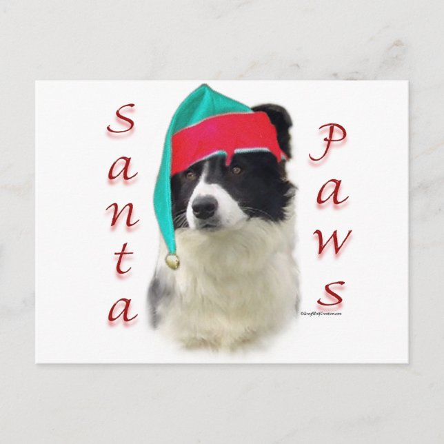 Border Collie Santa Paws Holiday Postcard (Front)
