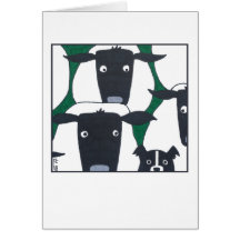 Border Collie & Sheep Blank Card