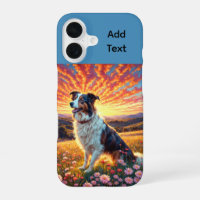 Border Collie Shepherd Dog