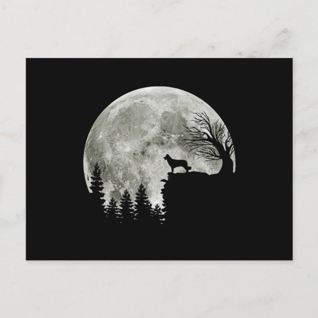 Border Collie silhouette On Mountain Halloween Dog Postcard (Front)