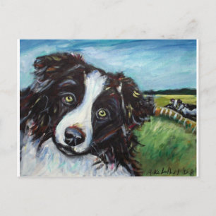 Border collie smile postcard