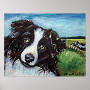 Border Collie smile Poster