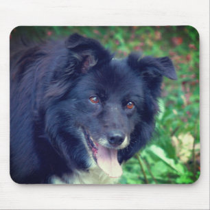 Border Collie Smiling Mouse Pad