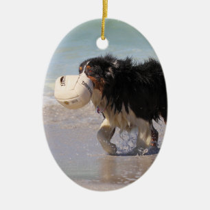 Border Collie - Soccer Anyone? Ceramic Ornament