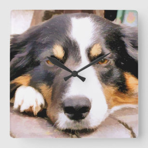 BORDER COLLIE SQUARE WALL CLOCK