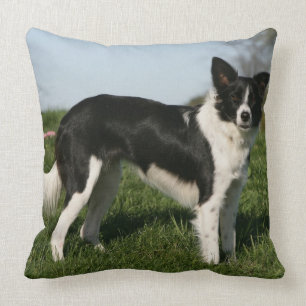Border Collie Standing Throw Pillow