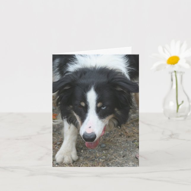 Border Collie Stare Dog Personalized Note Card (Small Plant)