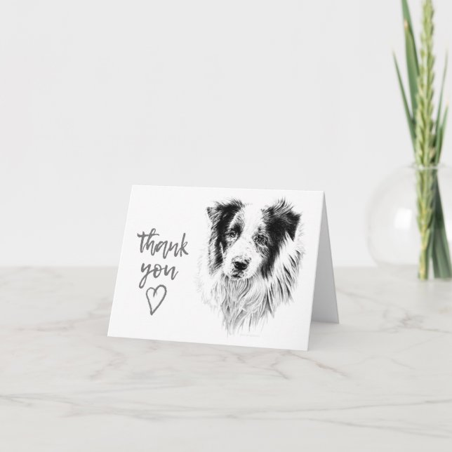 Border Collie Thank You Card (Front)