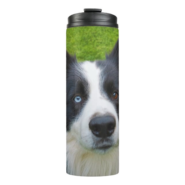 Border Collie Thermal Tumbler (Front)